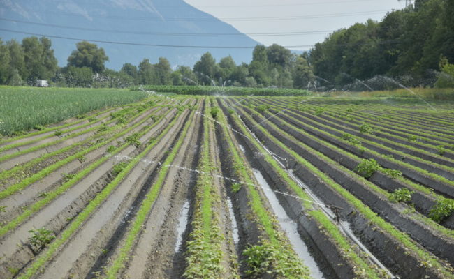 Bewässerung und Wärme stehen im Fokus der Ortsgemeinde-Bürgerversammlung