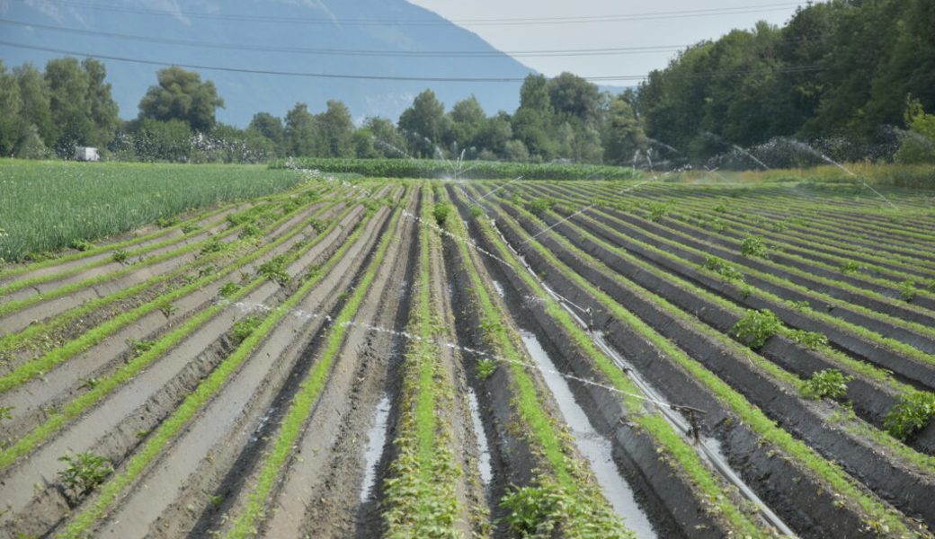  Wichtig für die Wartauer Landwirtschaft: Ein Bewässerungskonzept. 