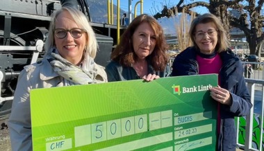 Frauen aus der Region unterstützen Frauenhaus