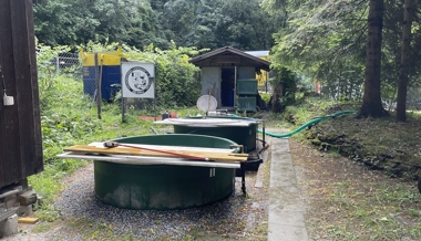 Eine Tat mit Folgen: Bis 8000 Fische verendet