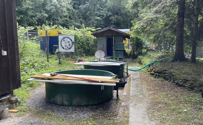 Eine Tat mit Folgen: Bis 8000 Fische verendet