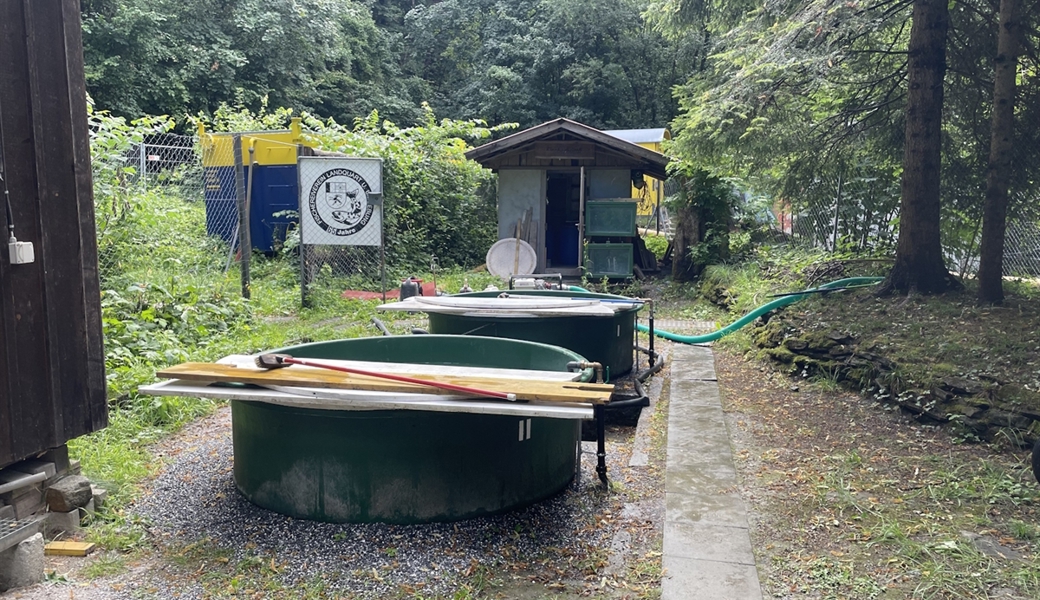 Ohne Strom gelangte kein Pumpenwasser mehr in diese Aufzuchtanlage.