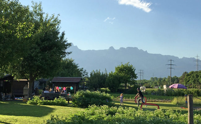 Sommeridylle mit Ablaufdatum: Fragebogen für Kleinpflanzer könnte zum Verhängnis werden