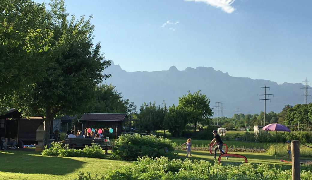  Kleinpflanzerinnen und Kleinpflanzer ärgern sich über den verfänglichen Fragebogen der Ortsgemeinde Buchs. 