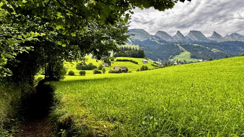 Eine sagenhafte Landschaft: Wandert man den Weg durchs Gässli hinab, bietet sich einem dieser herrliche Ausblick auf die Churfirsten