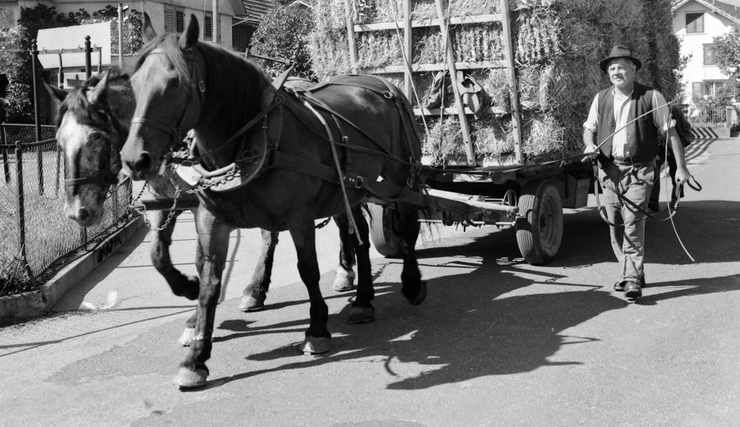 Ein Fuhrwerk auf der Buchser Altendorferstrasse im September 1974.