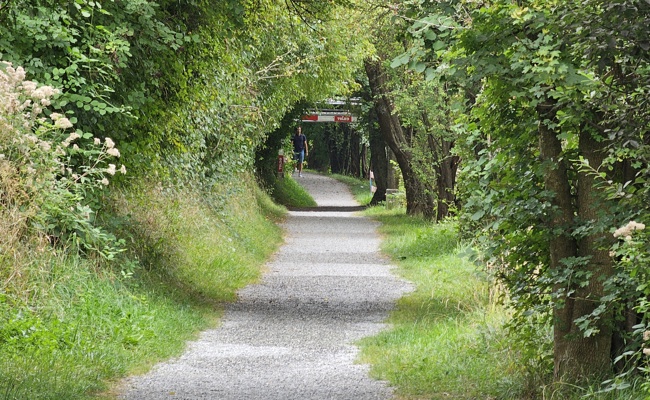 Die Stadt erklärt den Weg zum Weglein