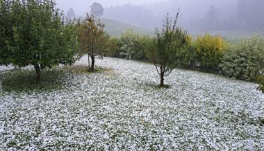 «Es fühlte sich an wie ein Weltuntergang»: Hagelsturm verursachte grosse Schäden