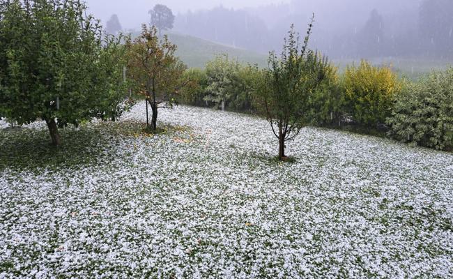 «Es fühlte sich an wie ein Weltuntergang»: Hagelsturm verursachte grosse Schäden