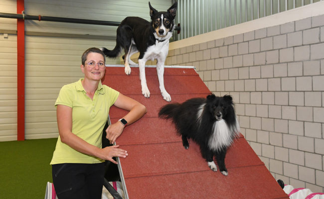 Dem Hundewetter entfliehen: Neue Hundehalle ermöglicht Indoor-Training