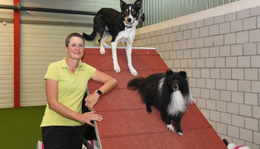 Dem Hundewetter entfliehen: Neue Hundehalle ermöglicht Indoor-Training