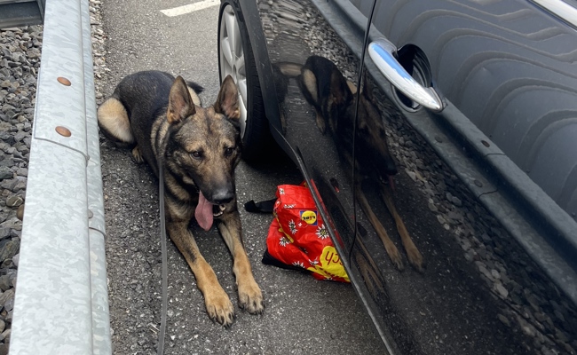 Diensthund Erol stellt flüchtenden Ladendieb