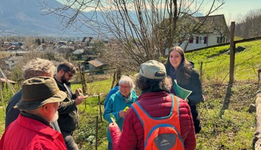 Bärlauchduft im Frühlingswald