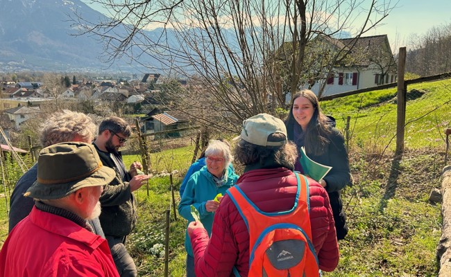 Bärlauchduft im Frühlingswald