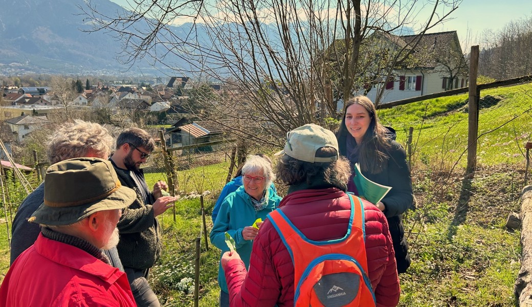 Bärlauchduft im Frühlingswald