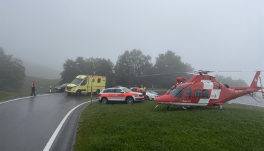 Bauer von Stier angegriffen – die Rega flog den Verletzten ins Spital