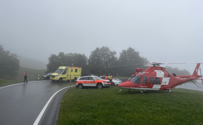 Bauer von Stier angegriffen – die Rega flog den Verletzten ins Spital