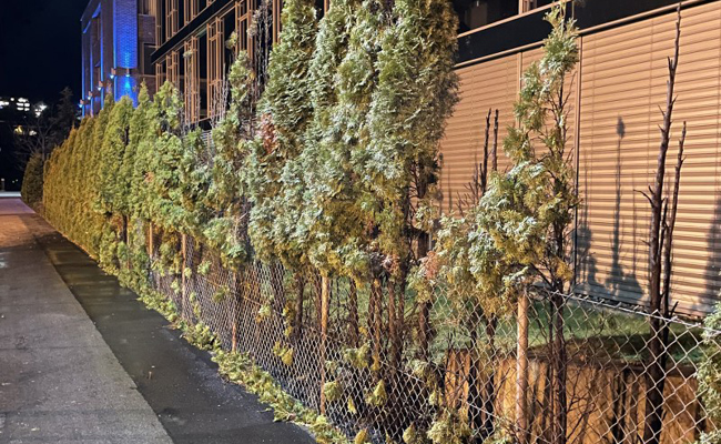 Jugendliche zündeten offenbar Gebüsch an