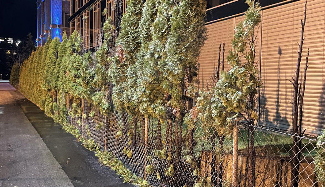 In Brand gesetzt, eventuell durch einen Knallkörper.