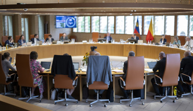 Ja im Landtag: Fristenlösungskomitee pocht auf Umsetzung