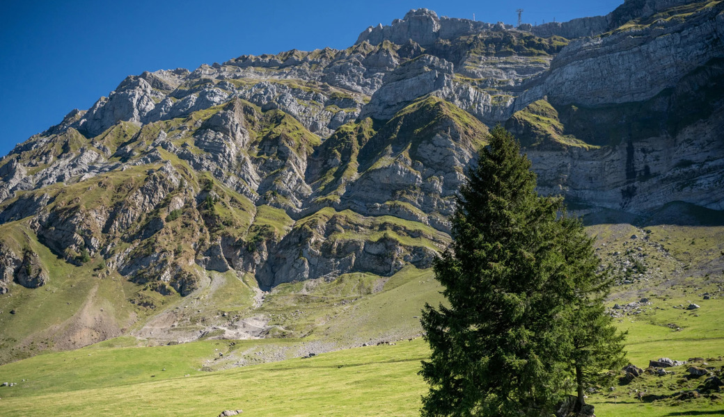 Die Geologen haben den Felssturz und die zu erwartenden Auswirkungen simuliert.