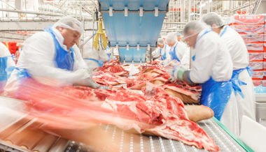«Edelteile deutscher Rinder»: Grösster Fleischverarbeiter Deutschlands kommt in die Region