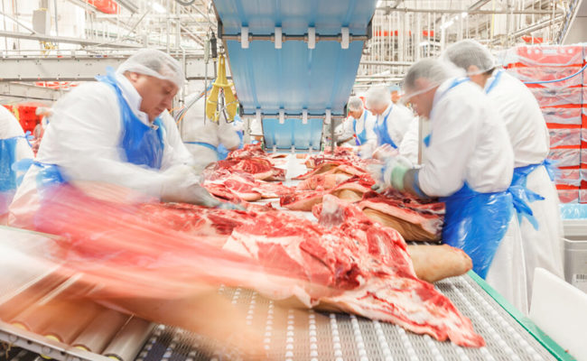 «Edelteile deutscher Rinder»: Grösster Fleischverarbeiter Deutschlands kommt in die Region