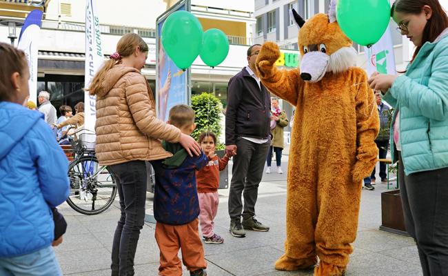 Der «schlaue Fuchs» sagt: «Einen besseren Job gibt es kaum»