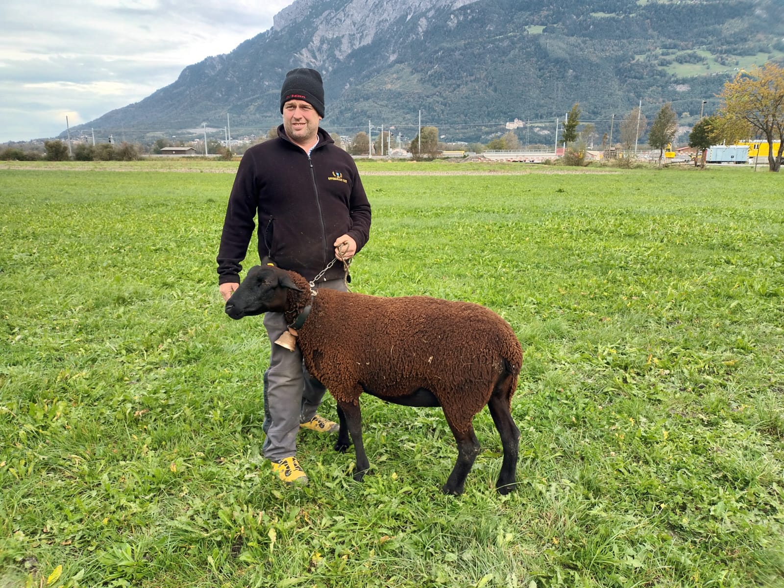 Miss Schwarzbraunes Bergschaf – Besitzer Martin Willi.