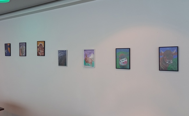 Hoffnung und Zuversicht in Bilder gerahmt