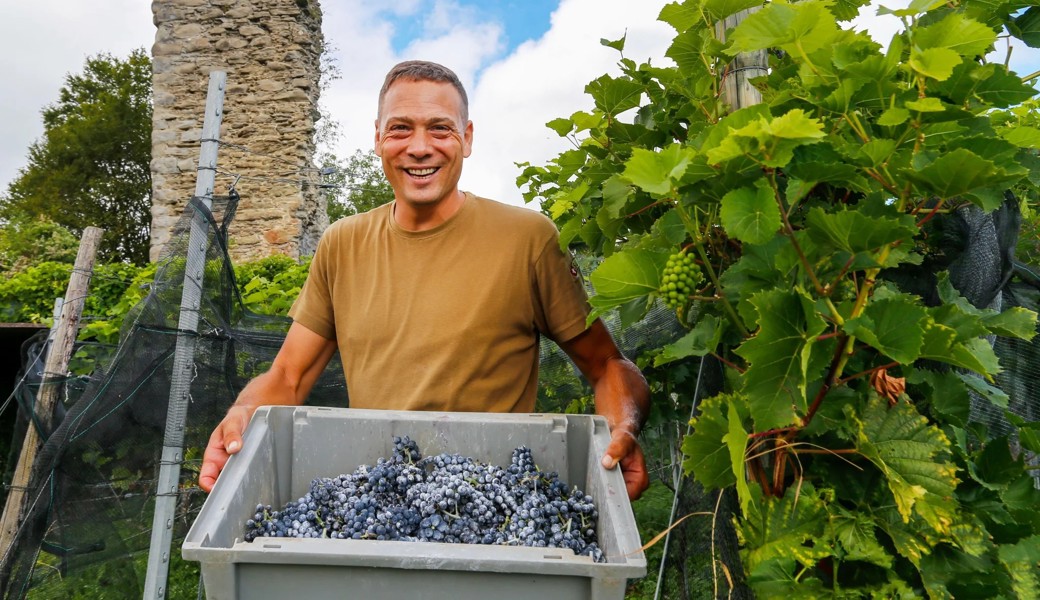 Mehrere Weine des Thaler Winzers Roman Rutishauser haben Spitzenresultat erzielt.