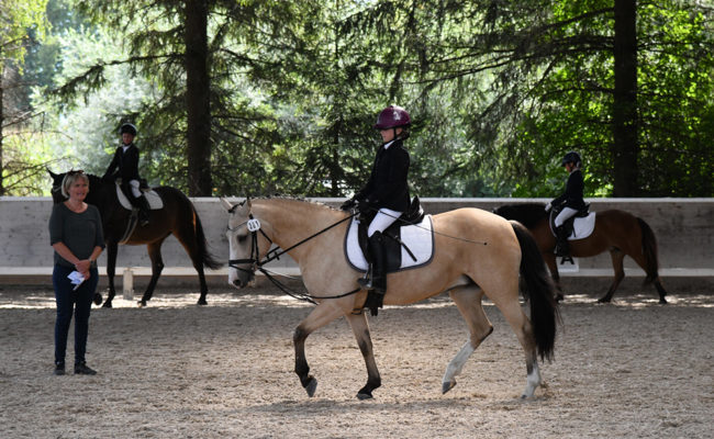Reiterinnen aus dem Werdenberg erreichten beim OKV Tag der Jugend gute Rangierungen