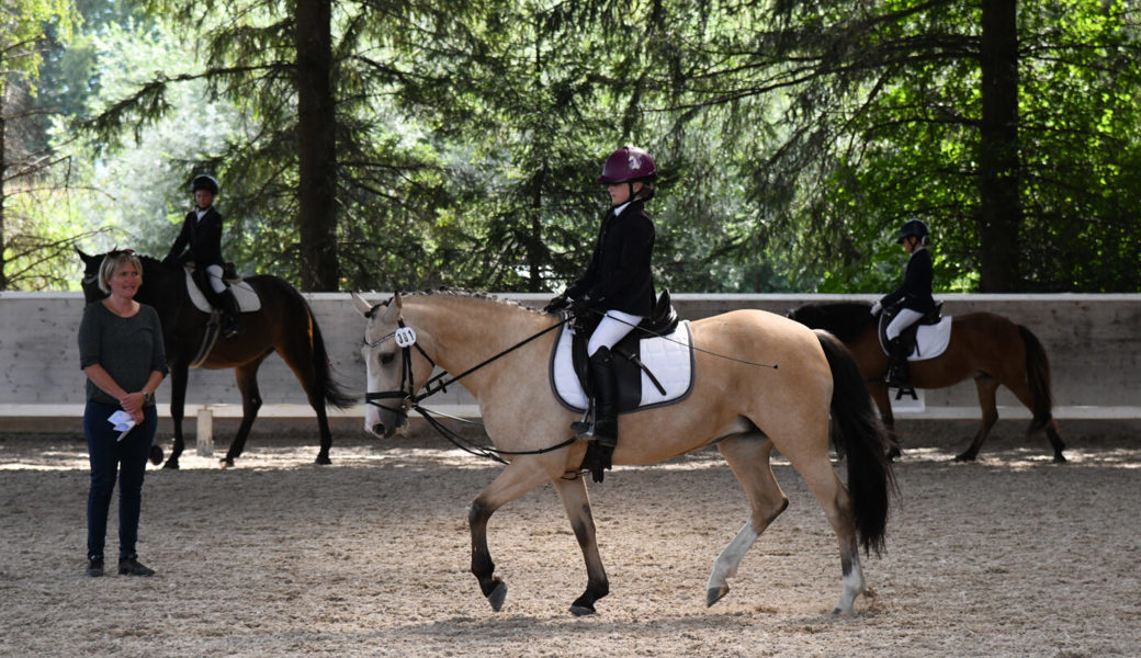  Alessia Hardegger (Grabs) entschied mit Rising Sun eine Abteilung des einfachen Reitwettbewerbs für sich. 
