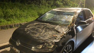 Frau fuhr in Gamprin in umgestürzten Baum – Polizei nahm vorläufig den Ausweis ab