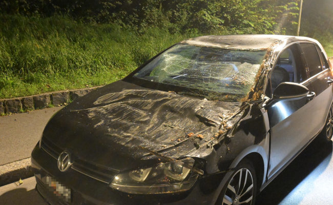 Frau fuhr in Gamprin in umgestürzten Baum – Polizei nahm vorläufig den Ausweis ab
