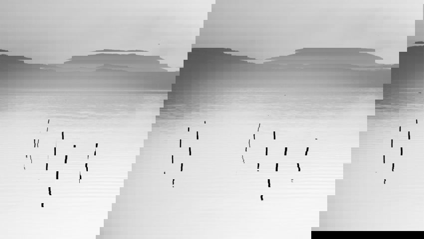  Für «Pfähle» gab es eine Goldmedaille. 