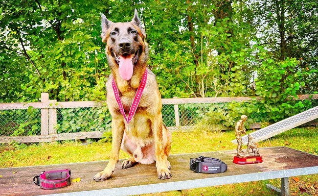 Ofelia Boiocchi und Kyubi sichern sich Silbermedaille
