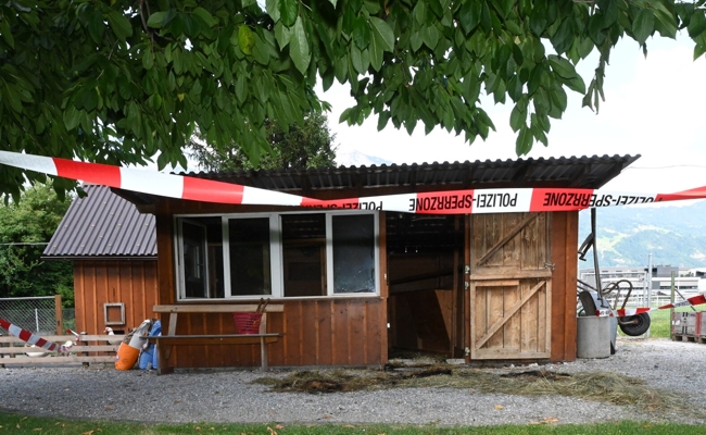 Brand in Kleintierstall – kein Tier zu Schaden gekommen
