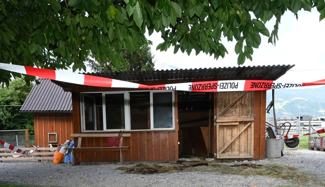 Brand in Kleintierstall – kein Tier zu Schaden gekommen