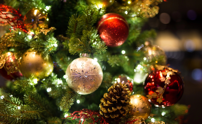 Die Redaktion wünscht frohe Weihnachten