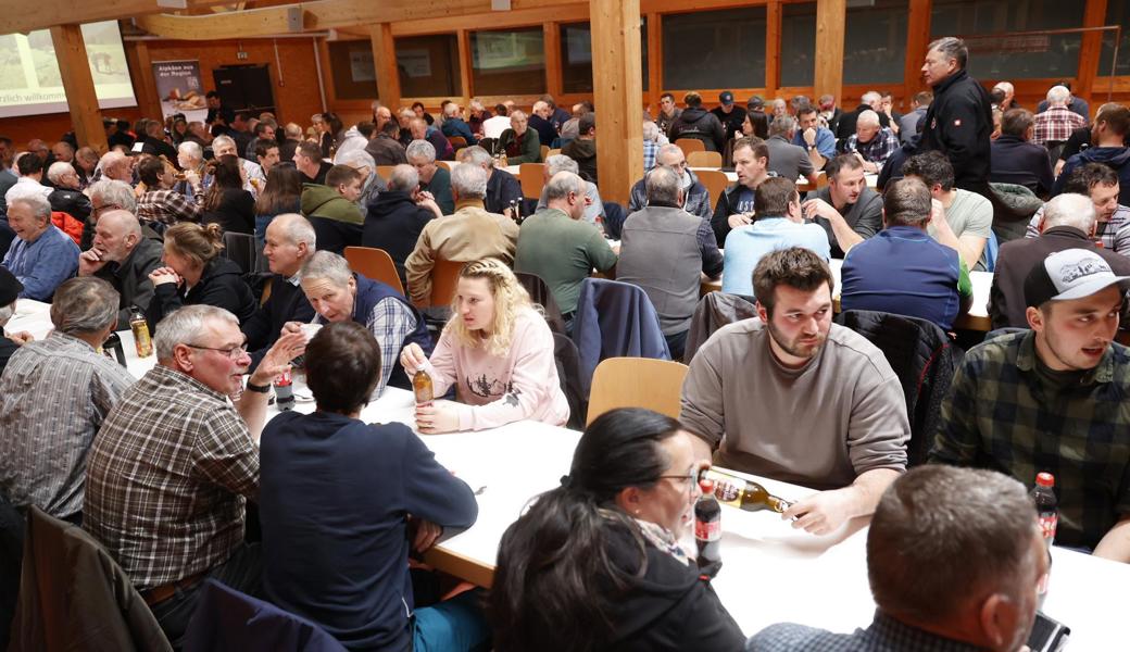 Erstklassiger Alpkäse und mehr Milch: Älpler sind zufrieden