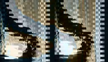 Einbruchdiebstahl in Einfamilienhaus: Wertgegenstände und Bargeld als Beute