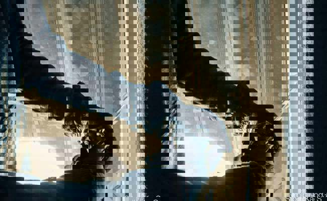 Einbruchdiebstahl in Einfamilienhaus: Wertgegenstände und Bargeld als Beute