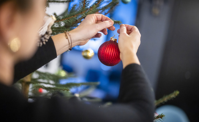 Streitpunkt Christbaum: Nostalgie oder doch lieber Langlebigkeit?