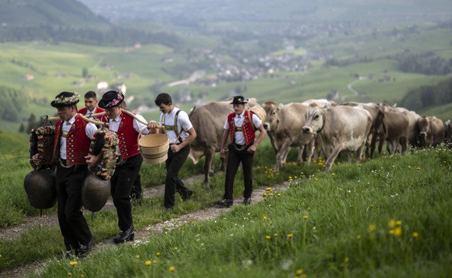 Alp ruft – doch das Personal zögert