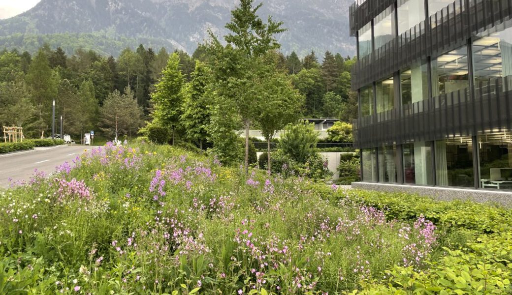 Die Hilti AG erhält Auszeichnung für neu gestaltete Naturflächen in Schaan