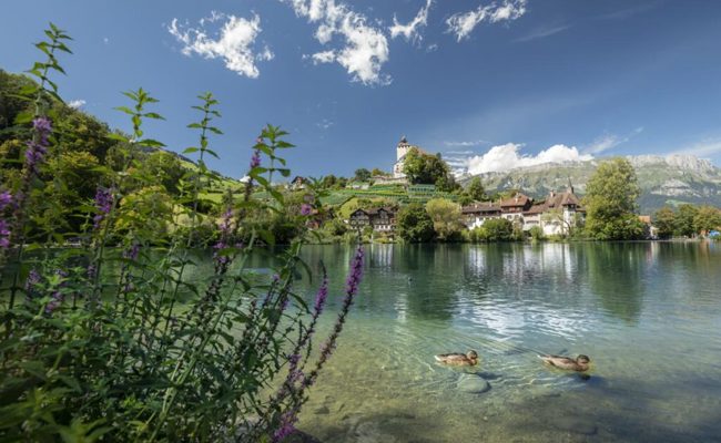 Hangseitiger Gehweg am Werdenbergersee wieder begehbar