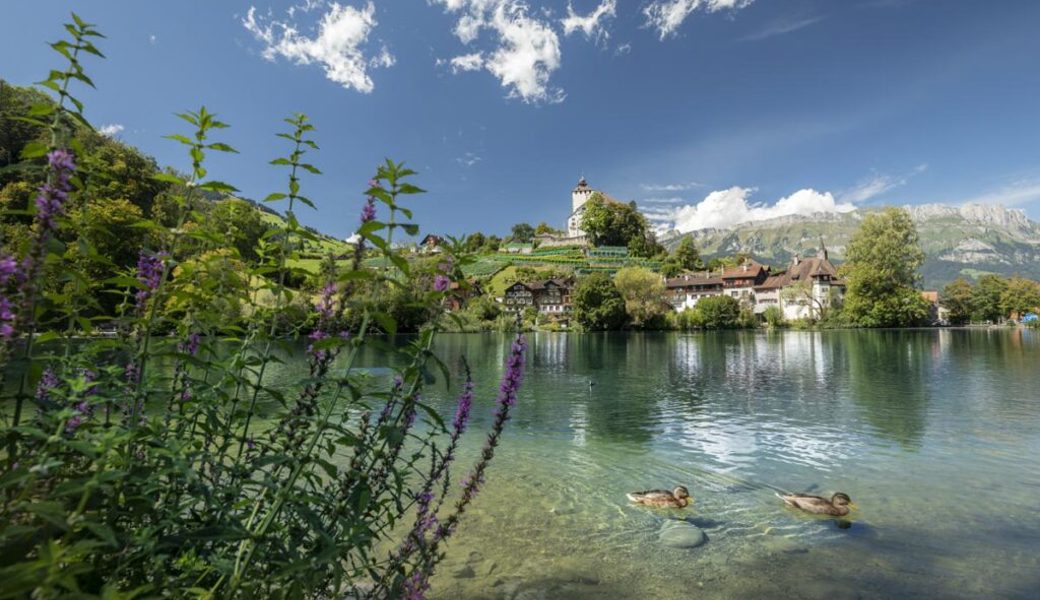 Hangseitiger Gehweg am Werdenbergersee wieder begehbar