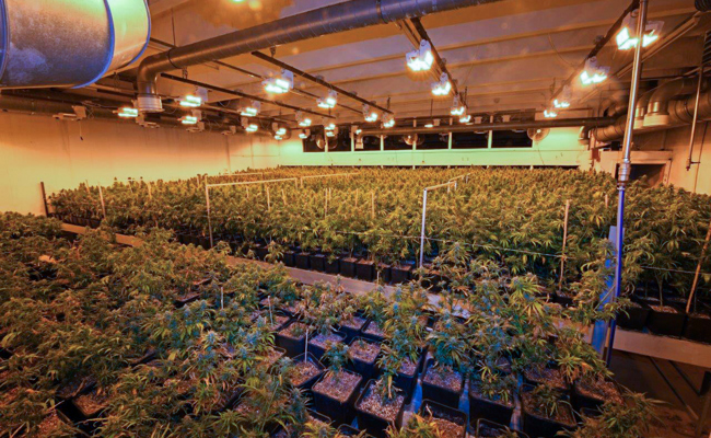 Krankfeiern schützt vor Strafe nicht