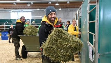 Der Offa-Stallchef hat immer ein offenes Ohr für Wünsche